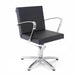 Salon Styling Chair Shiraz